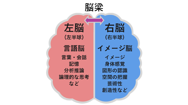 プログラミング教室